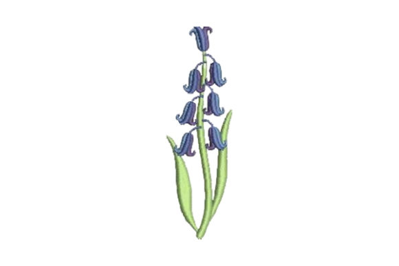 Bluebell Embroidery Design Review