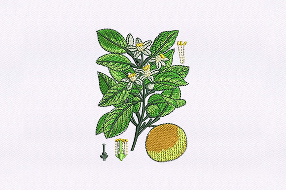 Floral Vines Orange