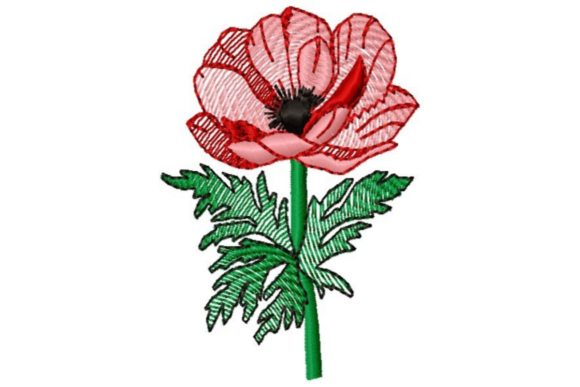 Sketched Poppy: A Floral Gem for Real Projects